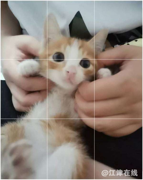 20220711073846front2_0_428009_FoyrKiKmC1c8MK6adFFTKEJJympw.png