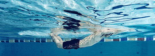 5c2c01ea2865ffc065291c8af67fc508.gif