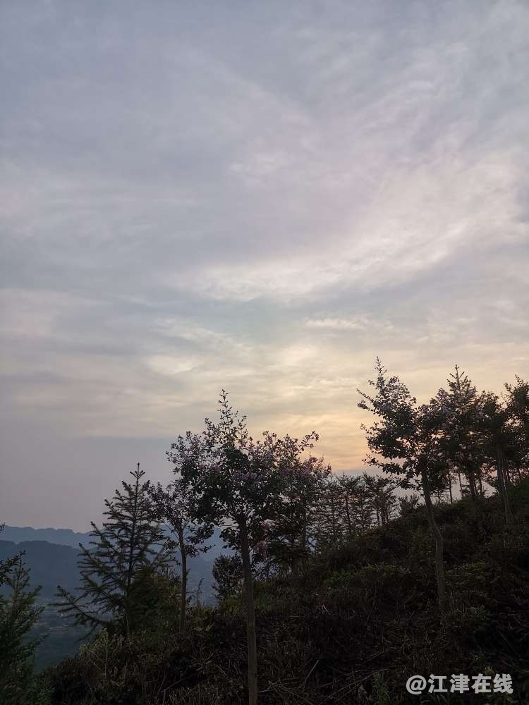 20220720123219front2_0_418174_FraCQX4CTMMNSqQ7hgGZC0s4d83m.jpg