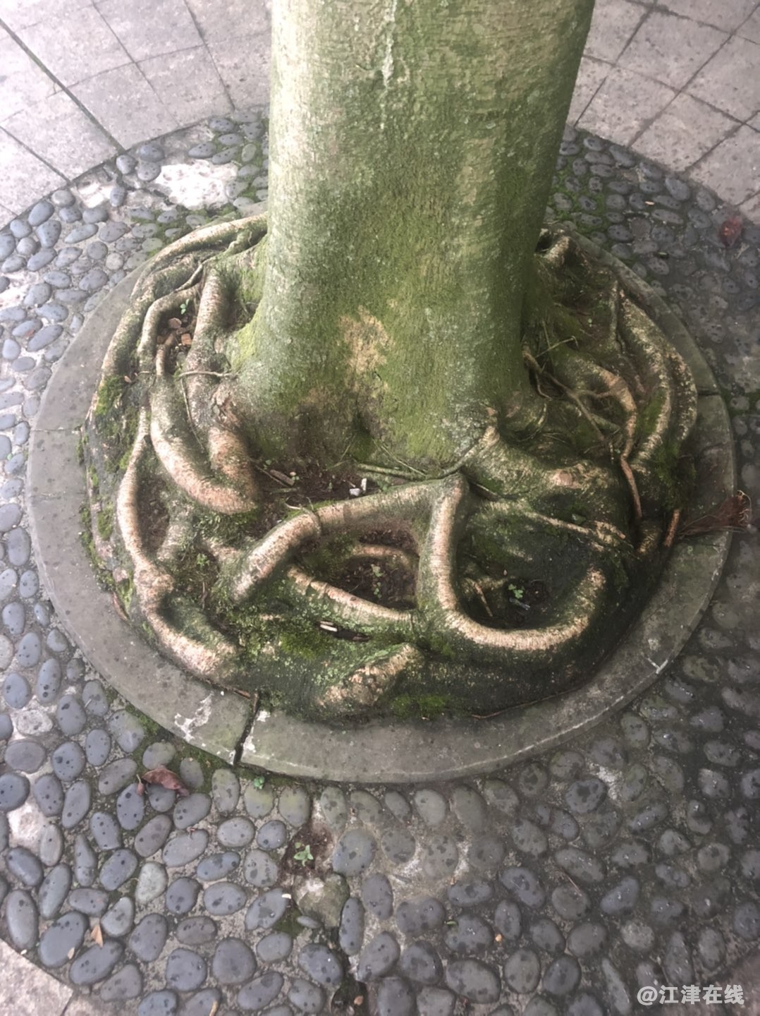 20220721070754front1_0_89924_Fp-xy6AoEchLjcGOMPDE3zYMTTq8.jpg