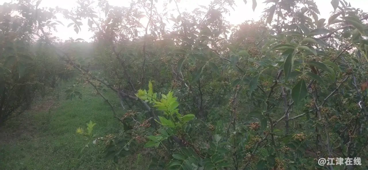 20220722114807front1_0_281628_Fj9_8KFYL-nY6gC1I9ZajyxjPQZi.jpg