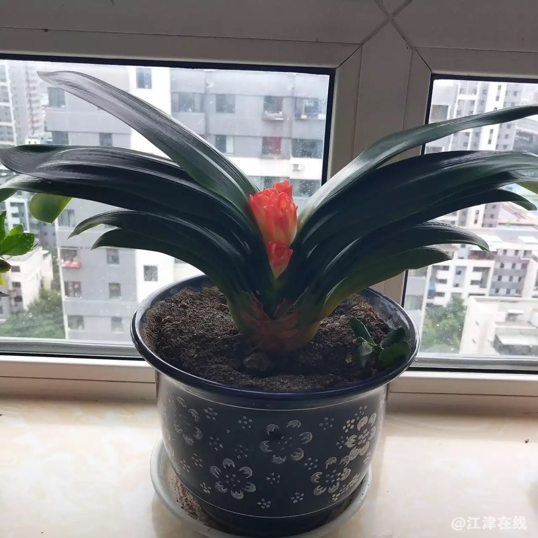 20220726112017front1_0_397200_FgvJ9KuHrmms6oYOncRYQPk9Ddt_.jpg