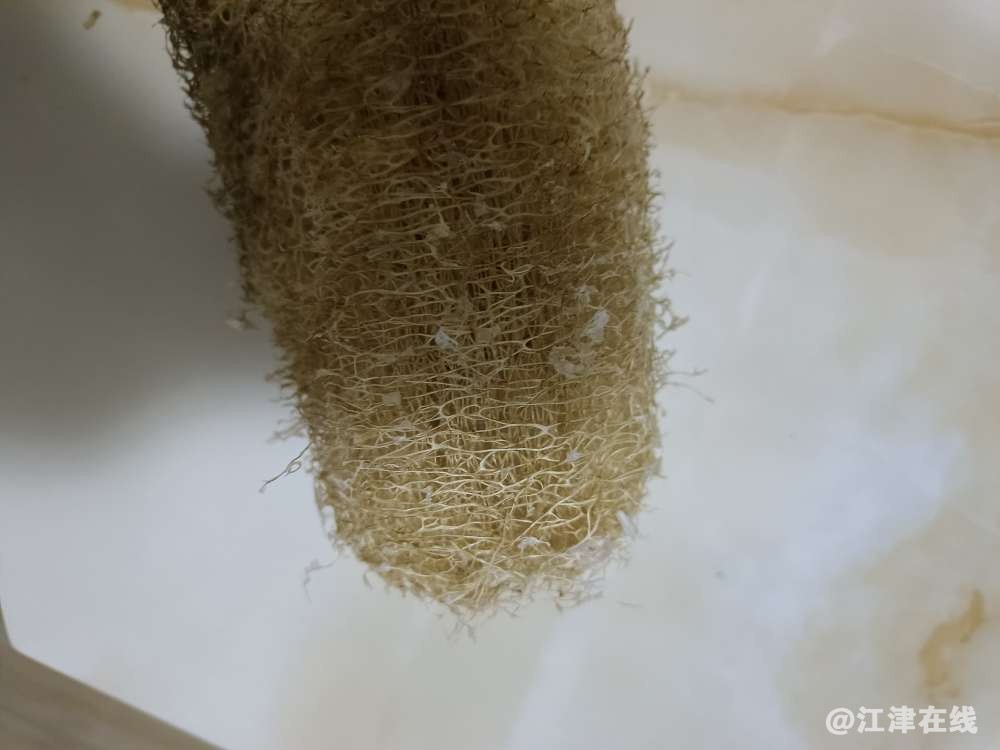 20220729113909front2_0_409494_Fn5x9Wb6QLcNIXvns2YyELnRblwn.jpg