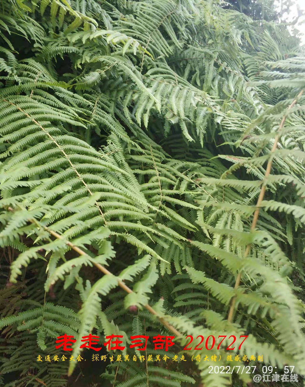 JYZ 20220727 WBQ (13).jpg