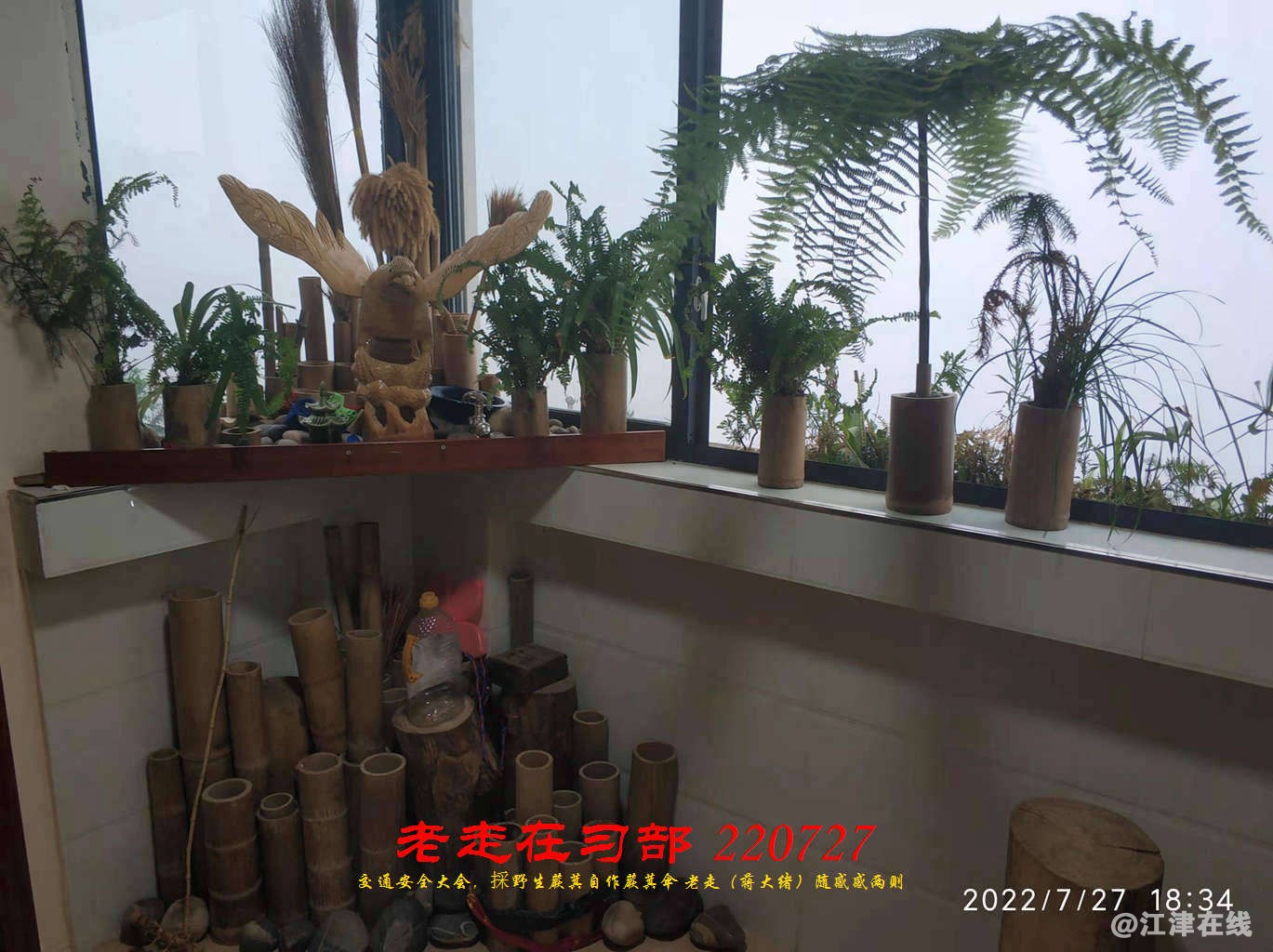 JYZ 20220727 WBQ (34).jpg