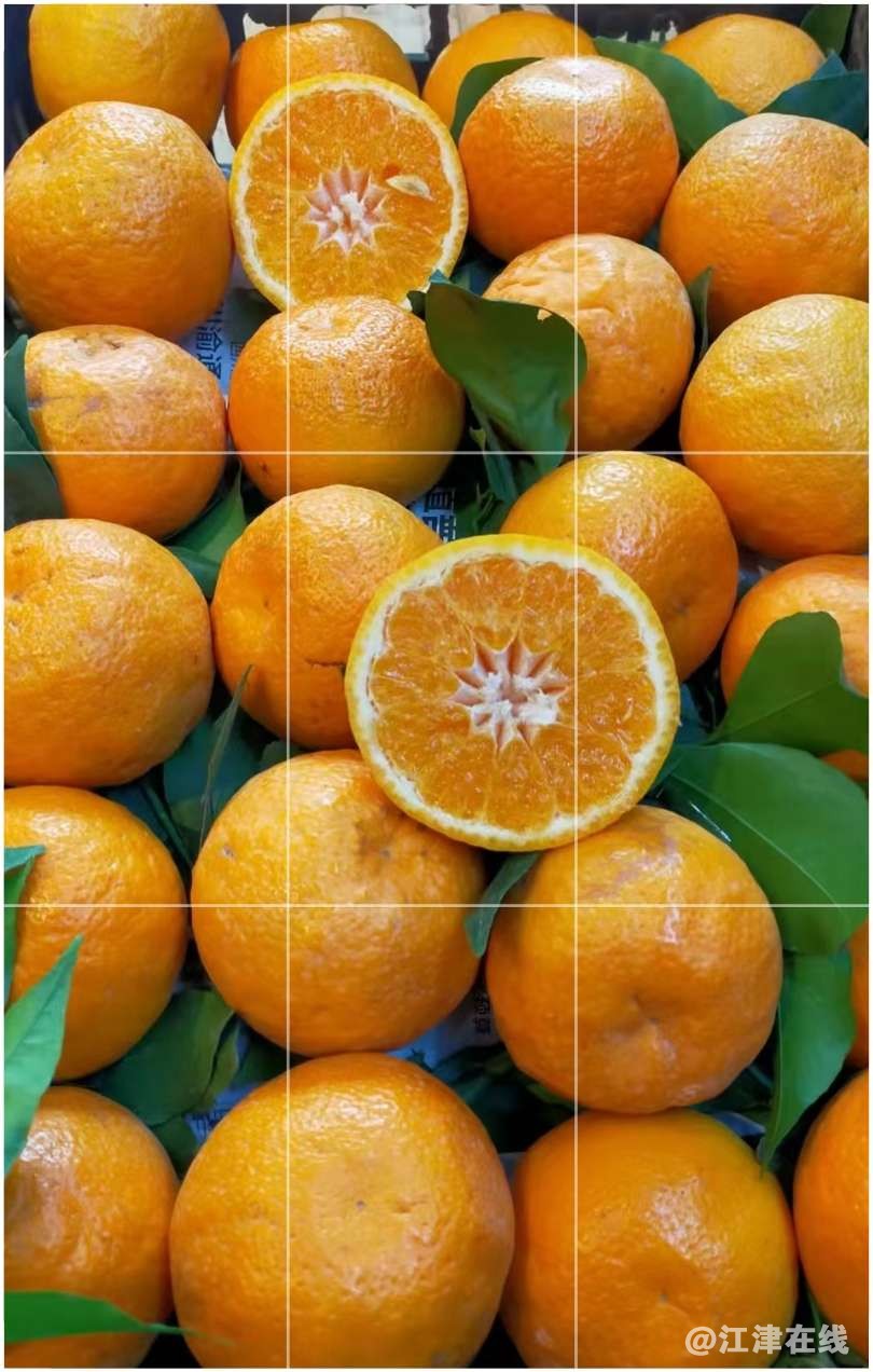20220801163440front2_0_409372_FqqUEq-_JD8W-Wqkc51vItttmG3-.png