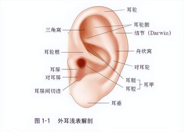 7ada2e43e1574575ac180df9665c4566~tplv-tt-shrink:640:0.jpg