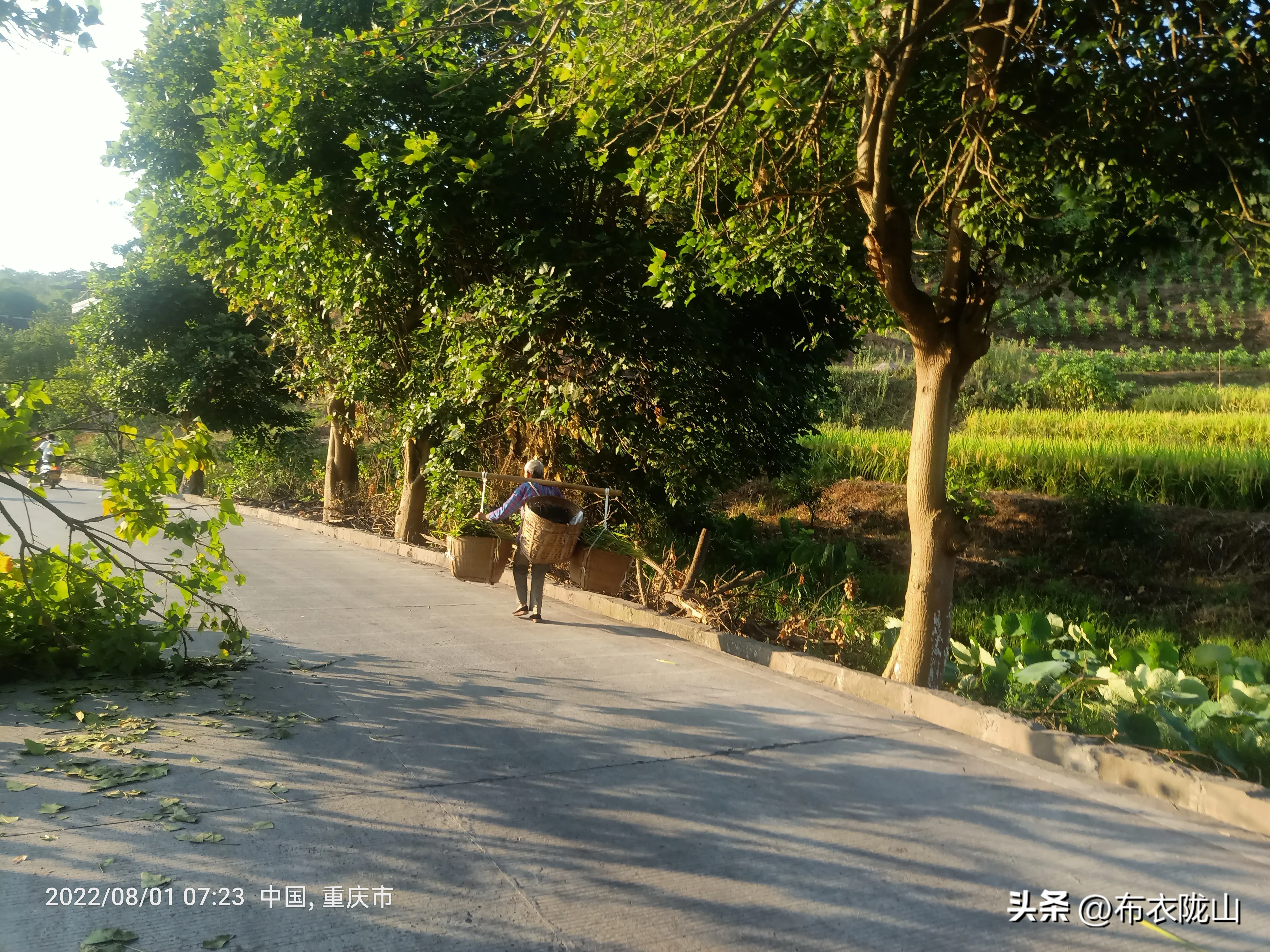 a9b9e5ac44514f799ab5ab796ed883ba~tplv-obj:4608:3456.jpg