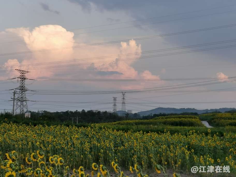 20220803214450front2_0_249482_FuVcBJpEh2U33taq-71D3h0sc6z3.jpg