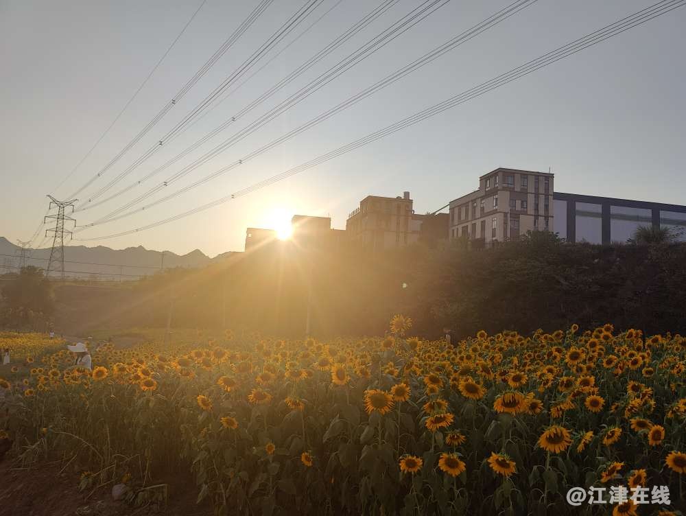 20220804084536front2_0_388746_FgQJQM_ifx02iKtN3xXnTBiomsJ7.jpg