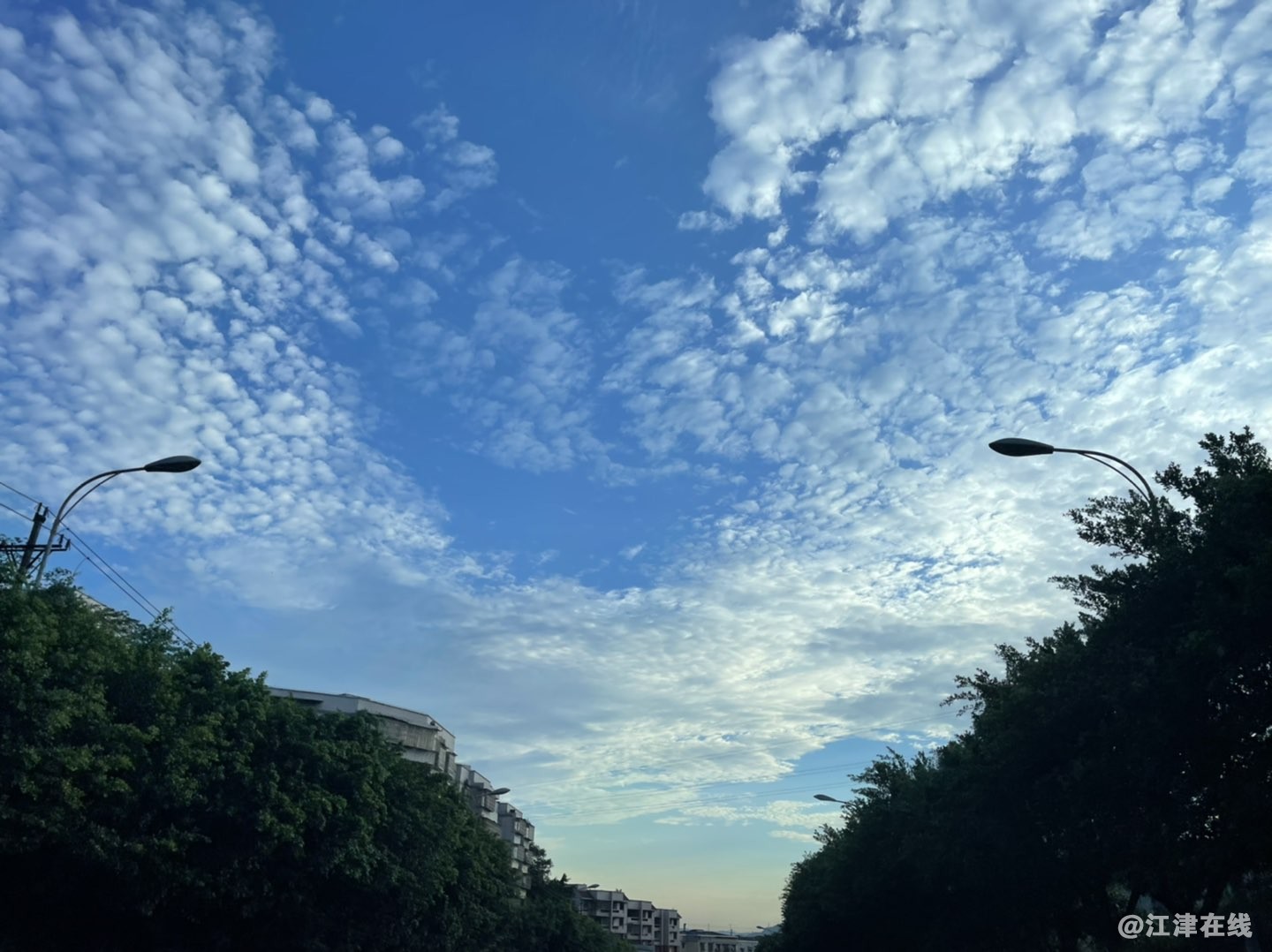 20220811232749front1_0_281628_Fr0P7g31eccChGyjnnKCQ3S_4II3.jpg