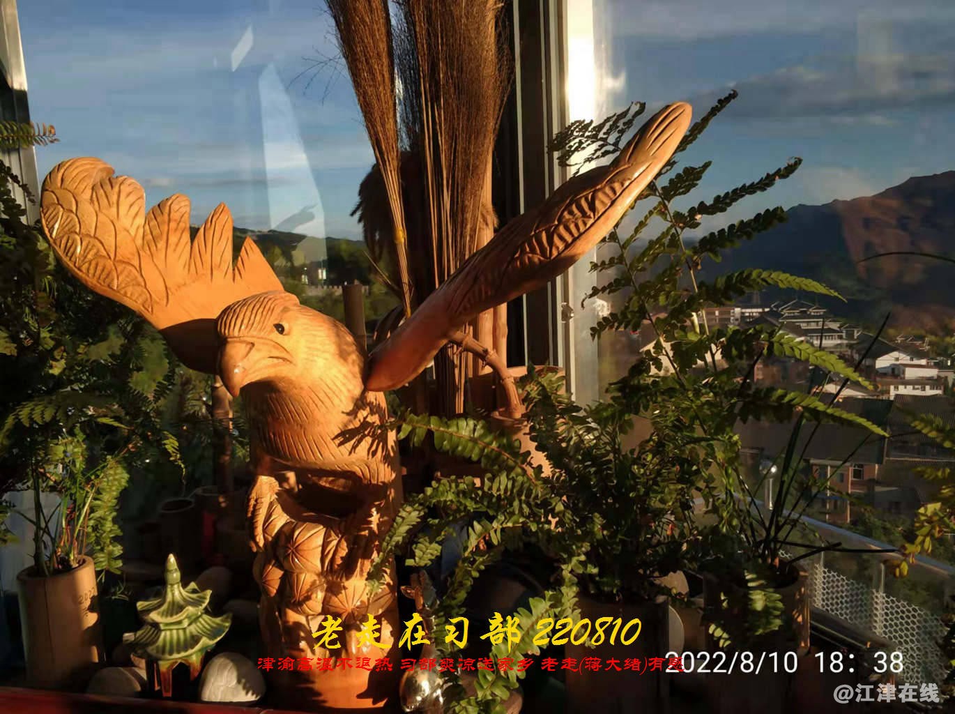 JYZ 20220810 WBQ  (14).jpg