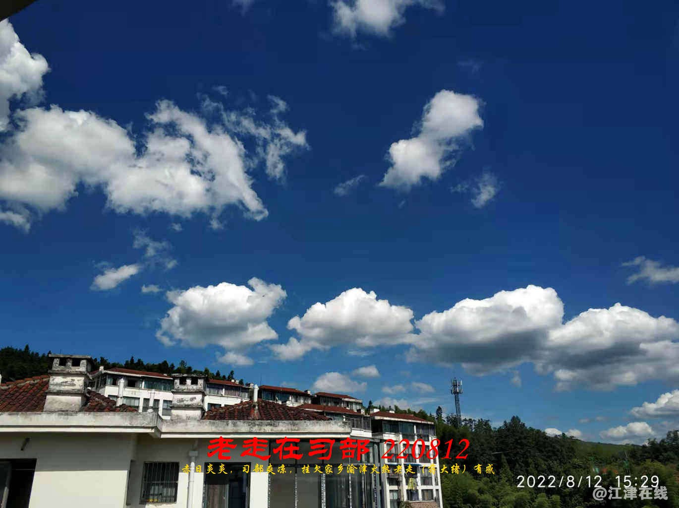 JYZ 20220812 WBQ (18).jpg