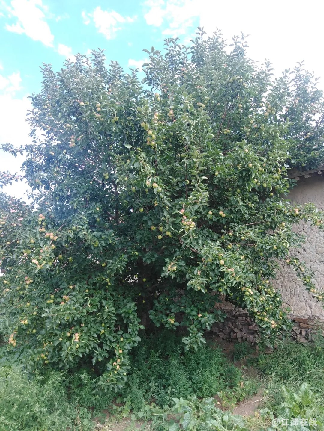 20220819212403front1_0_281628_FjaSu-GLWTTXVU8HDijYrR-nNOOf.jpg
