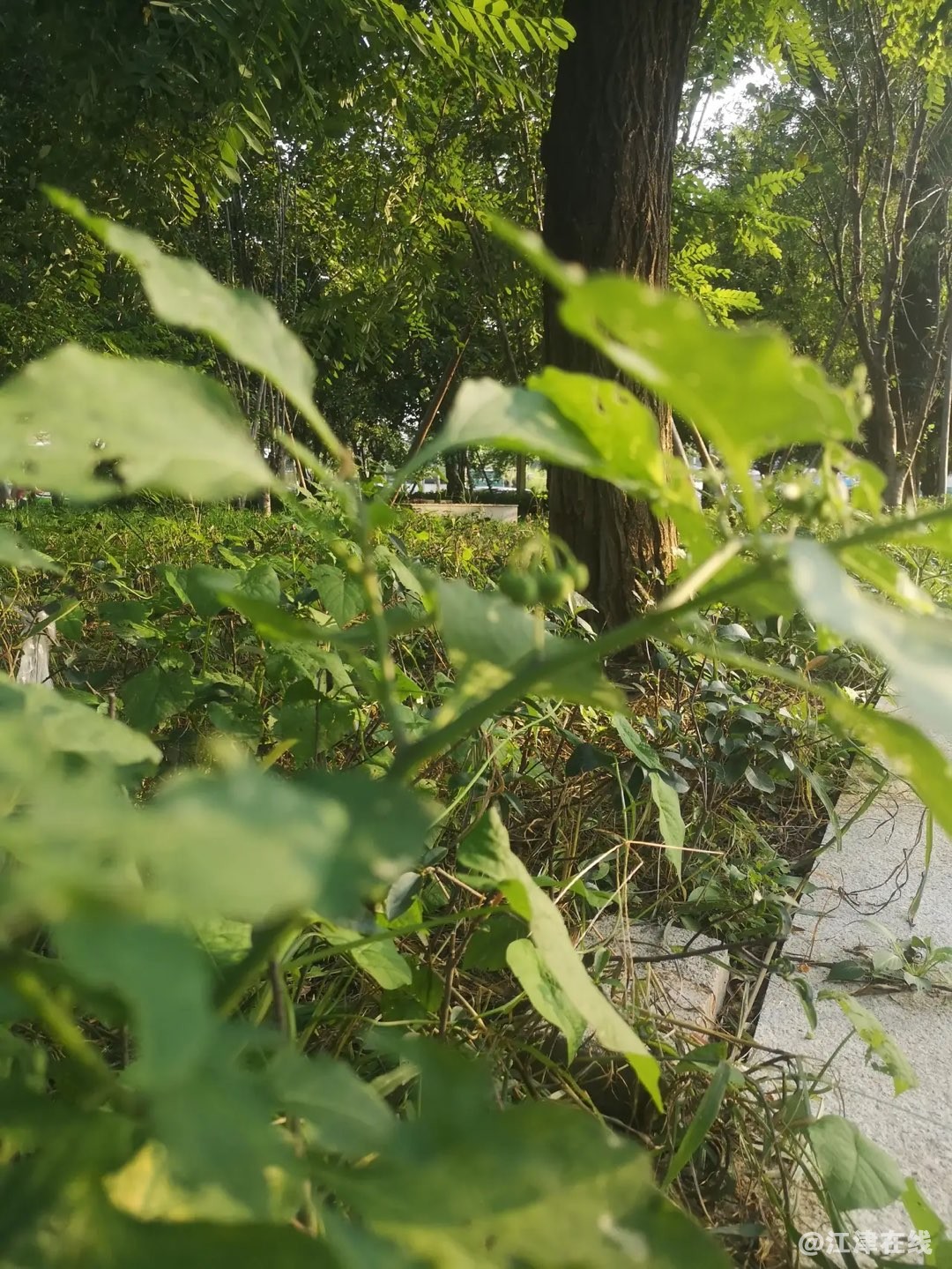 20220820154553front1_0_281628_FnS33qxtbiUyy2i8ErUIiaisEwzU.jpg