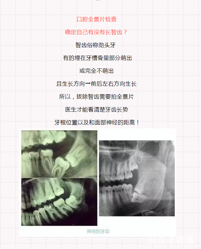 微信图片_20220824102013.png