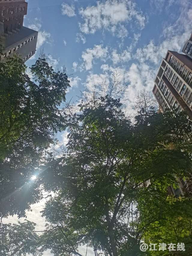 20220824222651front2_0_281628_FpzmOuAdXhSyZQcE_UeKCagM9hso.jpg
