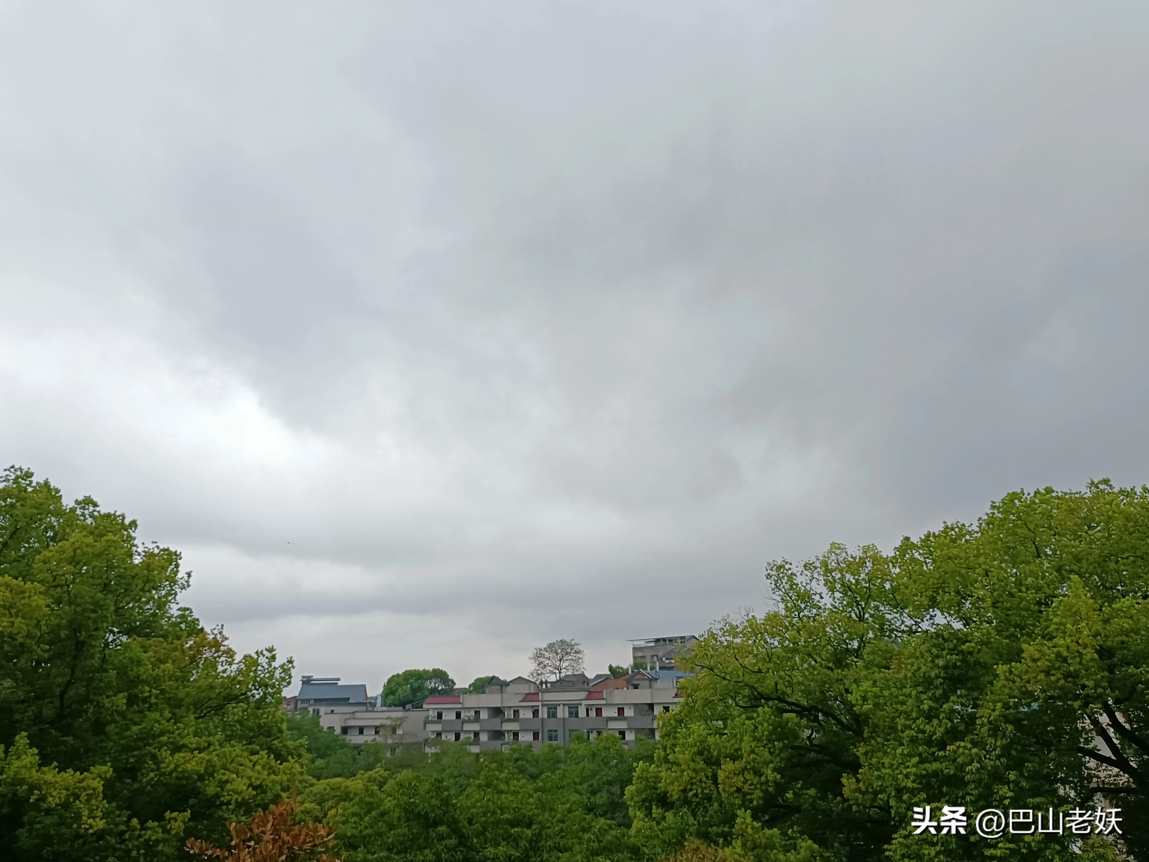38150d0c7c0e49f9b8291778f947cf52~tplv-obj:4032:3024.jpg