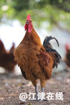 3f04d80d1c.jpg
