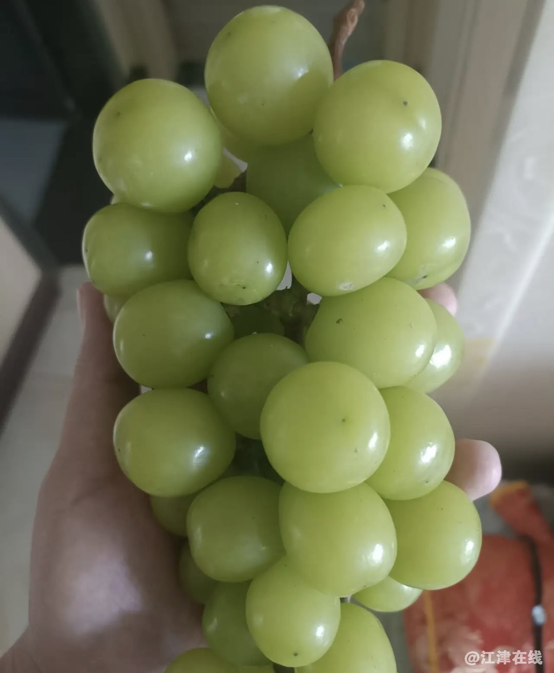 20220909100706front1_0_281628_FnLb5SZVaYgRdO1C3Mvs0vucYv1b.jpg