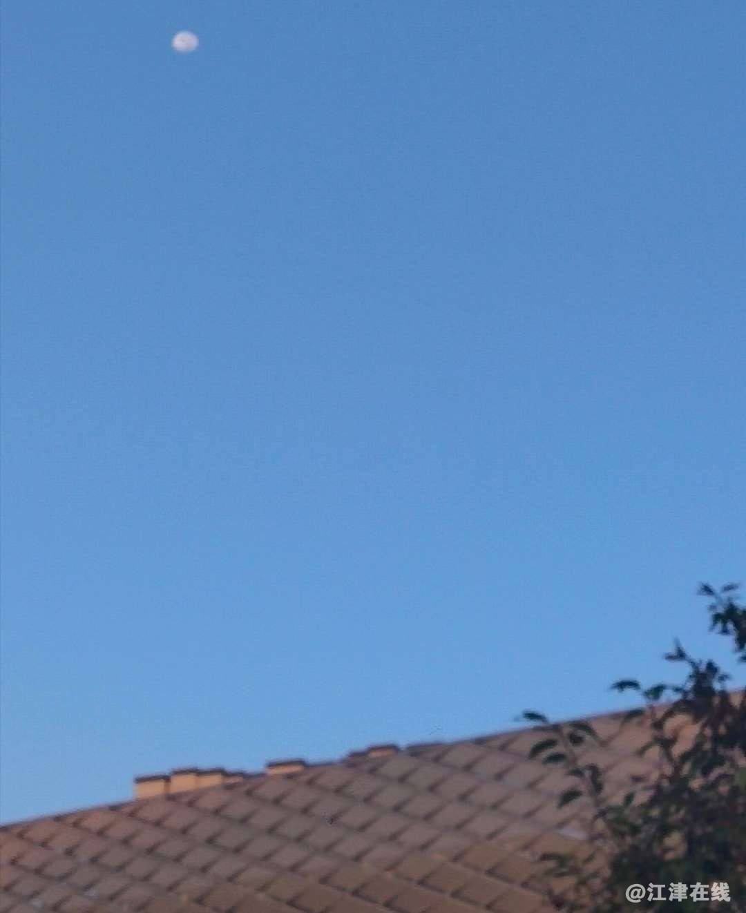 20220914075854front2_0_250484_FqsHywe3JvvbDEjxSpw9QsyYcRa0.jpg