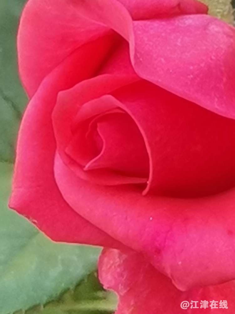 20221002203412front2_0_418174_FkNEd0g8s_r5D31R6PyKixmYWG5p.jpg