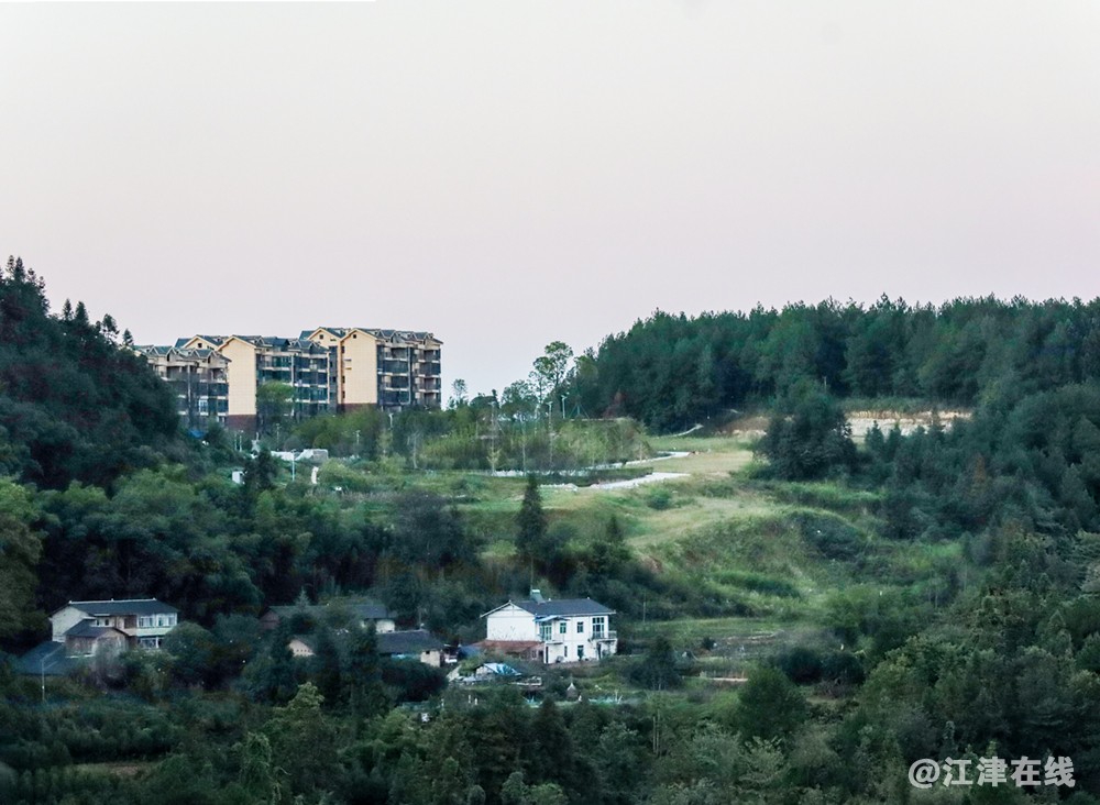 秋景 (4).jpg
