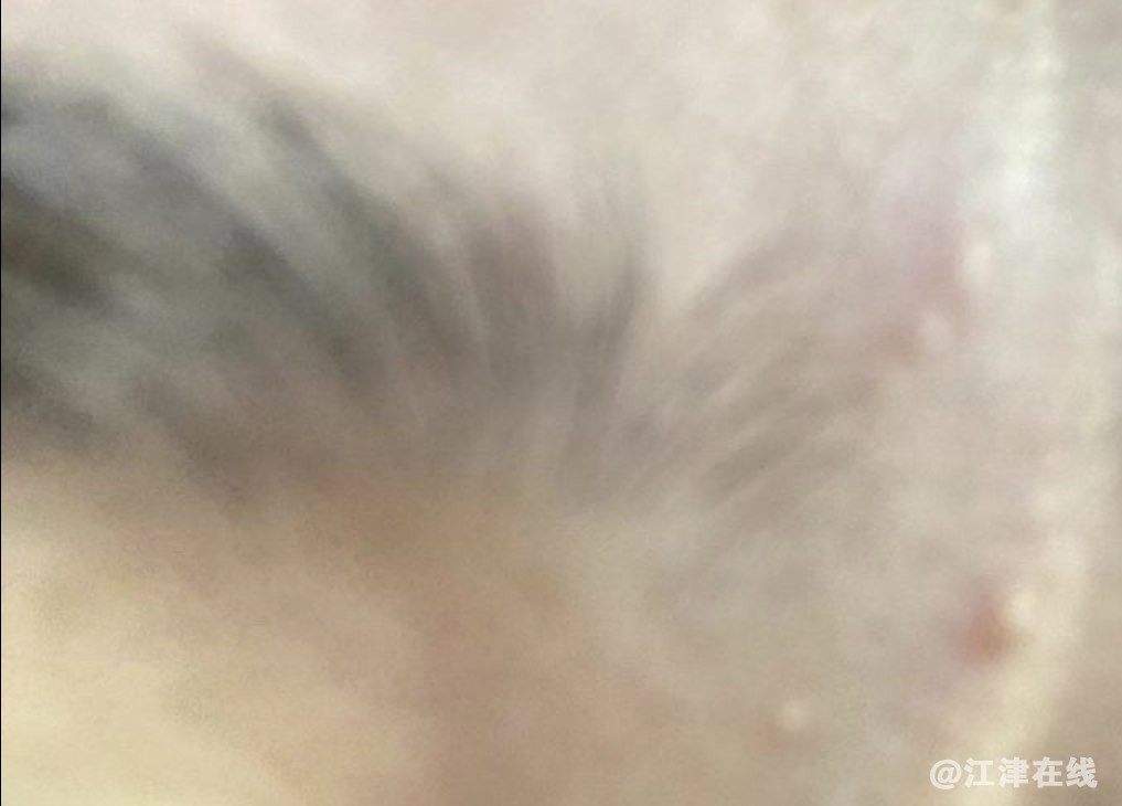 20221016224726front1_0_281628_FlmX2HjnoZmR17jVC-8Gby5qoQYe.jpg