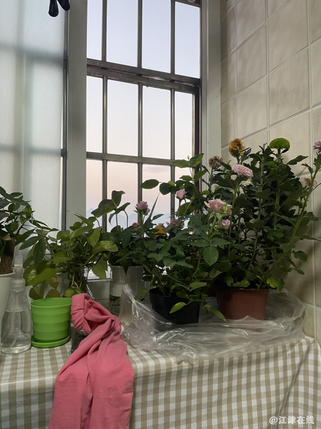 20221019065726front1_0_281628_FvoB5SV8fiOq6ahYVuunor2AWxY_.jpg
