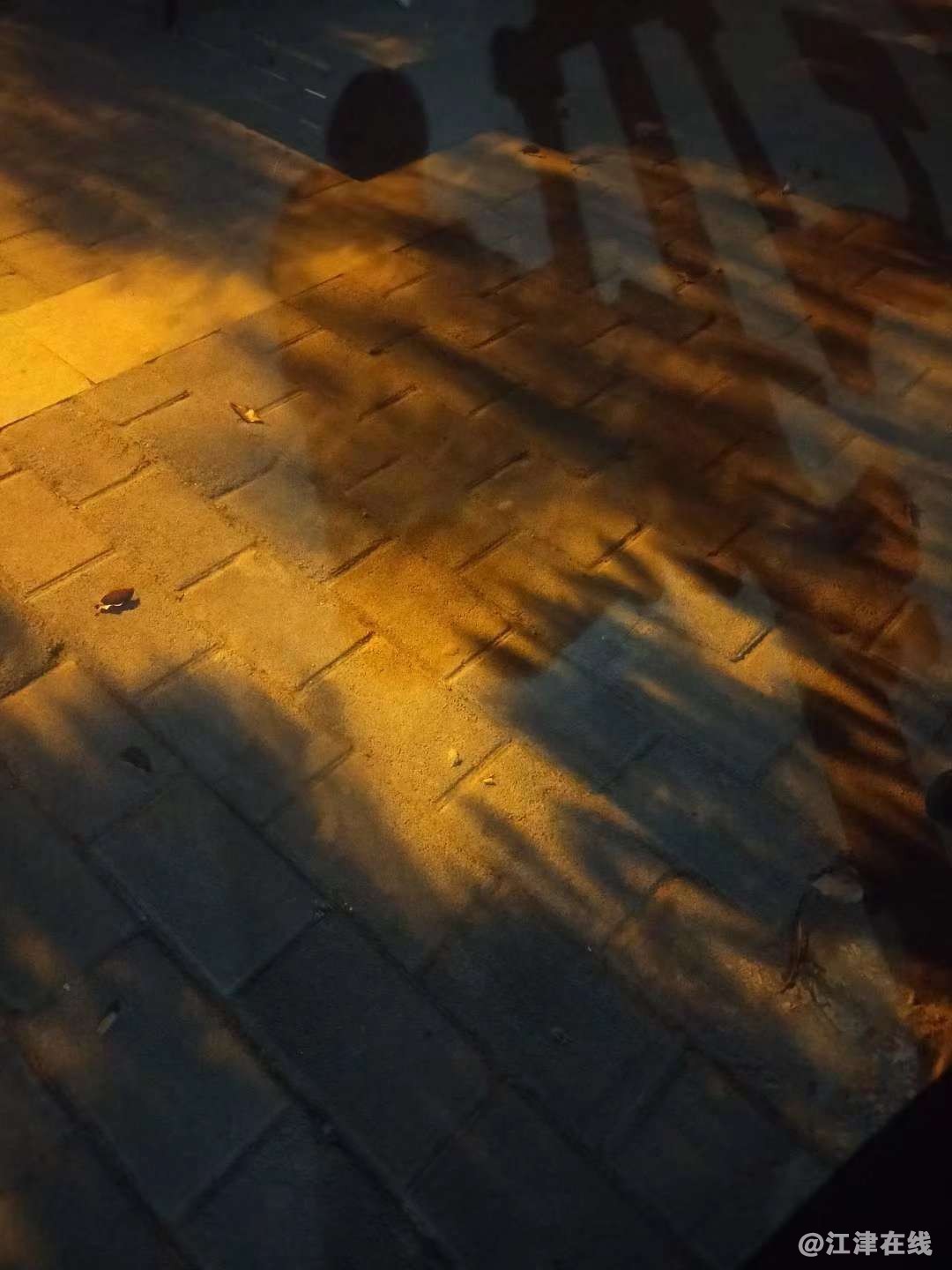 20221021151337front2_0_409372_FnUqHp_xtCER5YwSKP3lYk9k1Ume.jpg