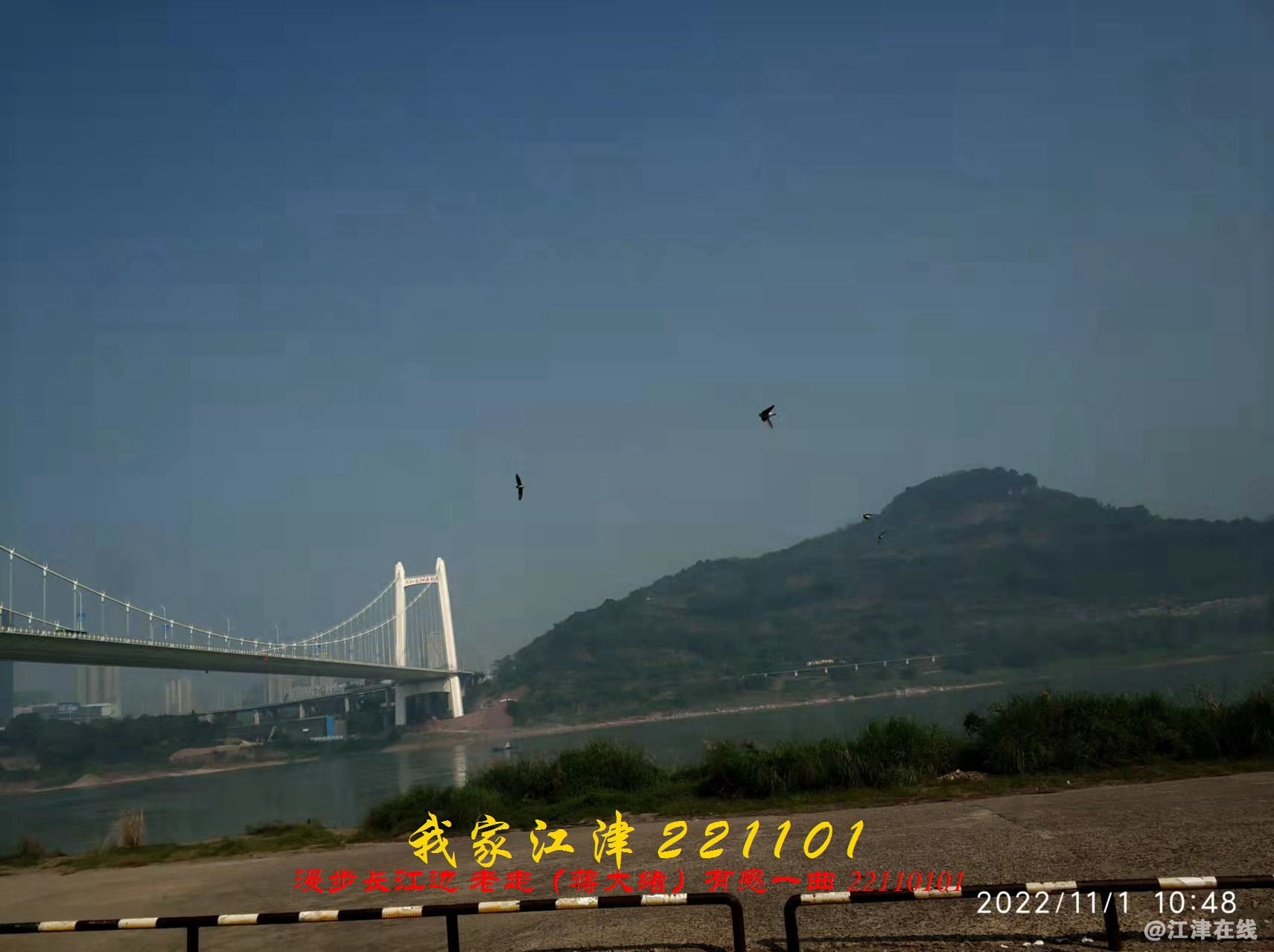 JYZ 20221101 WBQ (16).jpg