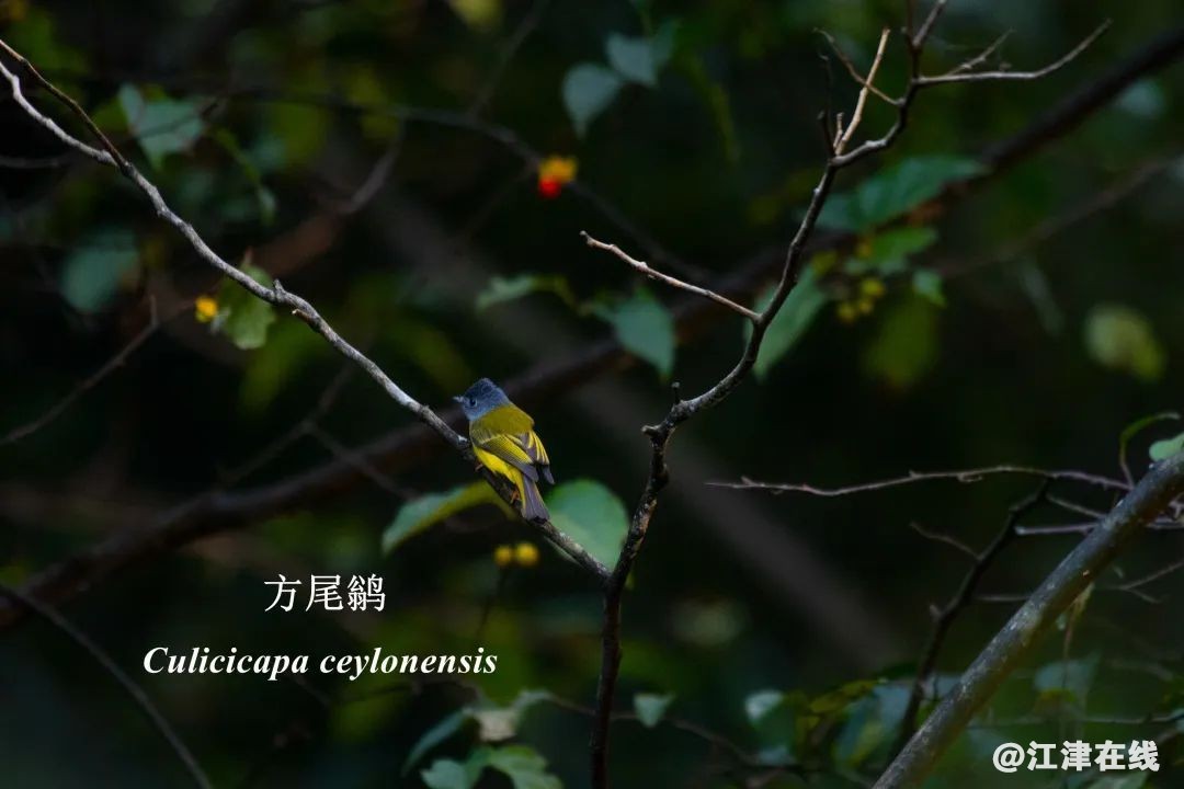 54f37cf708ef00e490426cf86be5fa02.jpg