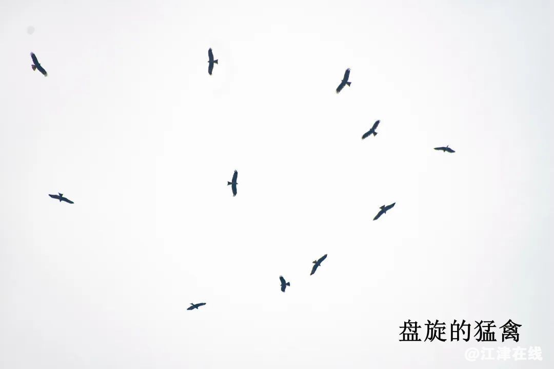 a20f7968c614300be2d7aca35f61d691.jpg