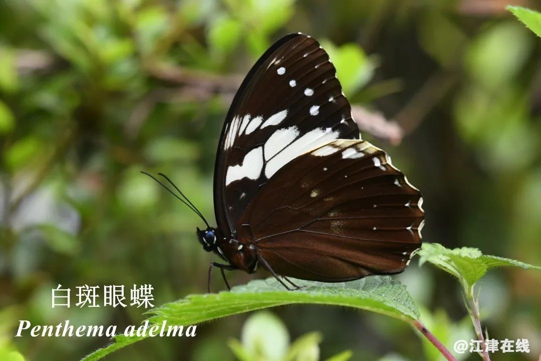 98d2bafac7257f23377eb556b5b33c70.jpg