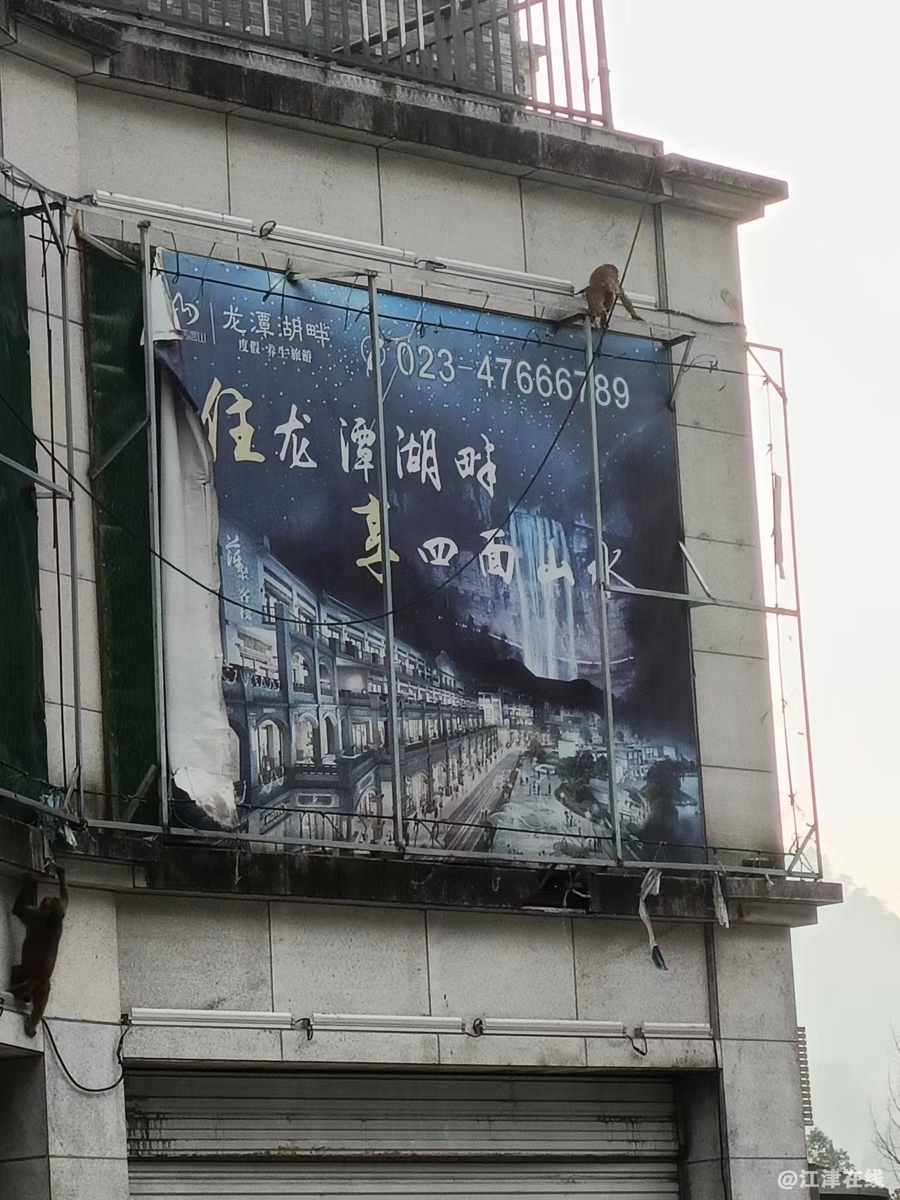 微信图片_20221109093041.jpg