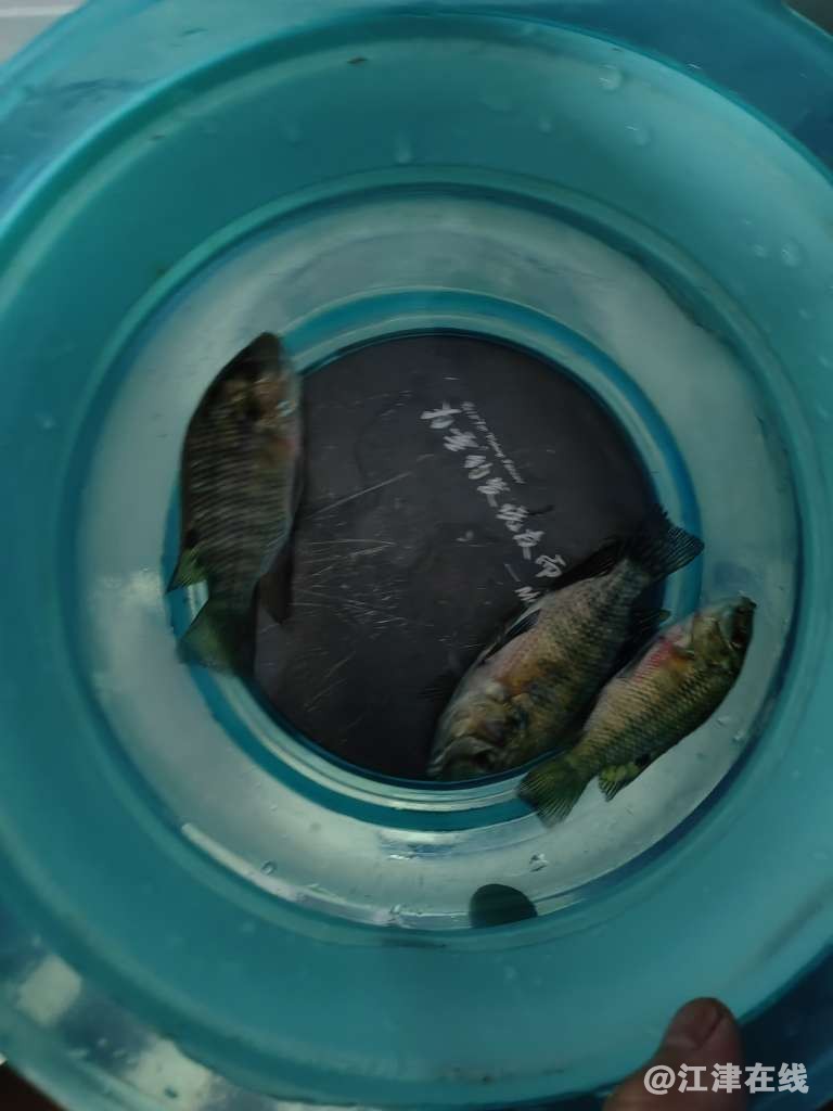 20221204212624front2_0_409372_Fh1uHPKMfPyo1RxvkroCzU0BbqwB.jpg