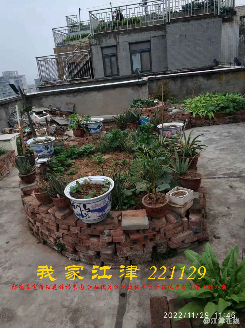 JYZ 20221129 WBQ (8).jpg