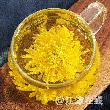 金丝皇菊２.jpg