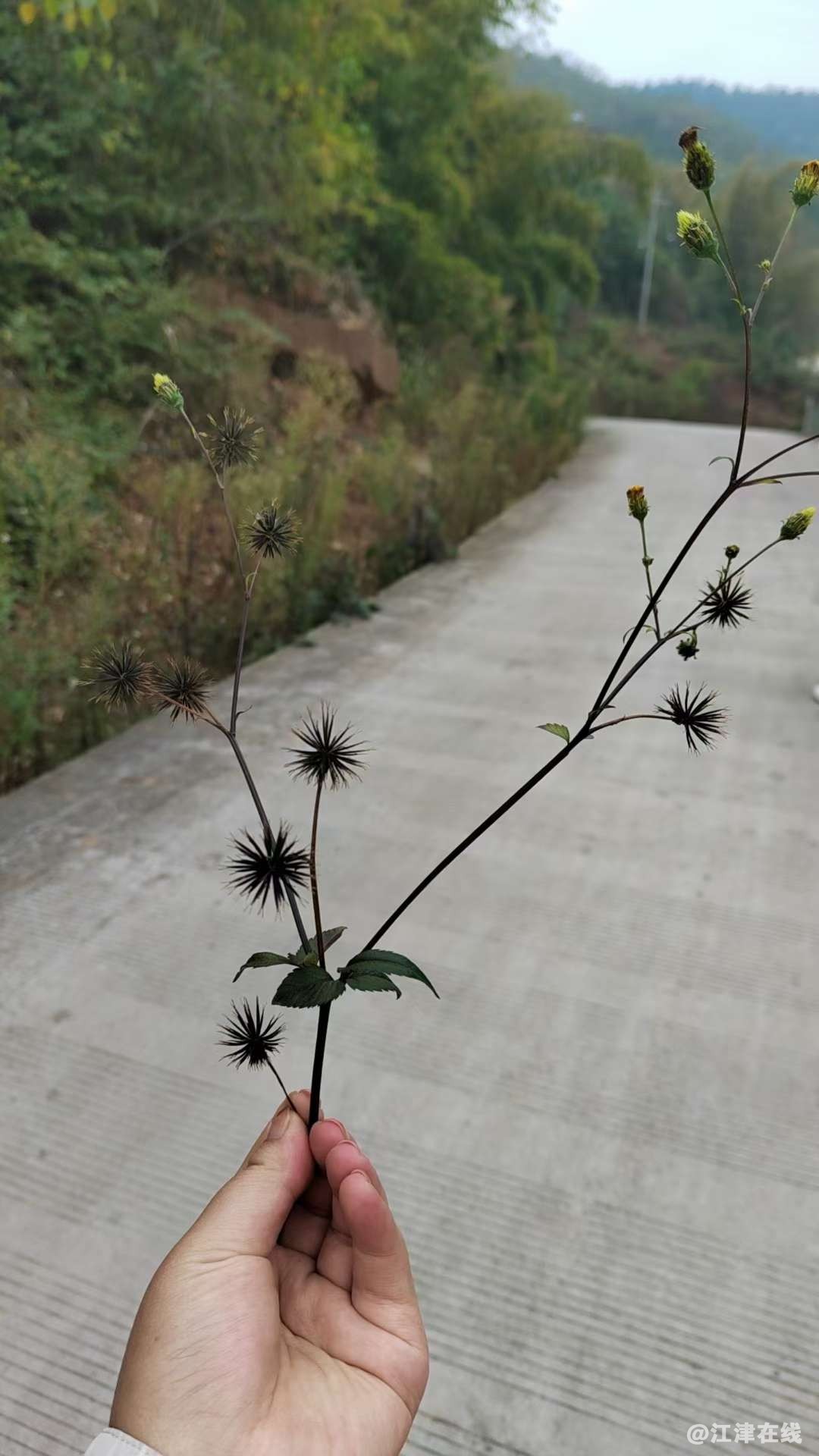 20221208161748front2_0_409372_FhN8MN3Dce92owVn8bEBdM1ddQp1.jpg