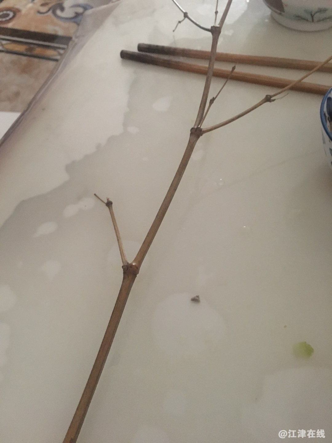 20221208204605front1_0_420898_FrPZKicFoCOf1sxihXGanu8MgZCl.jpg