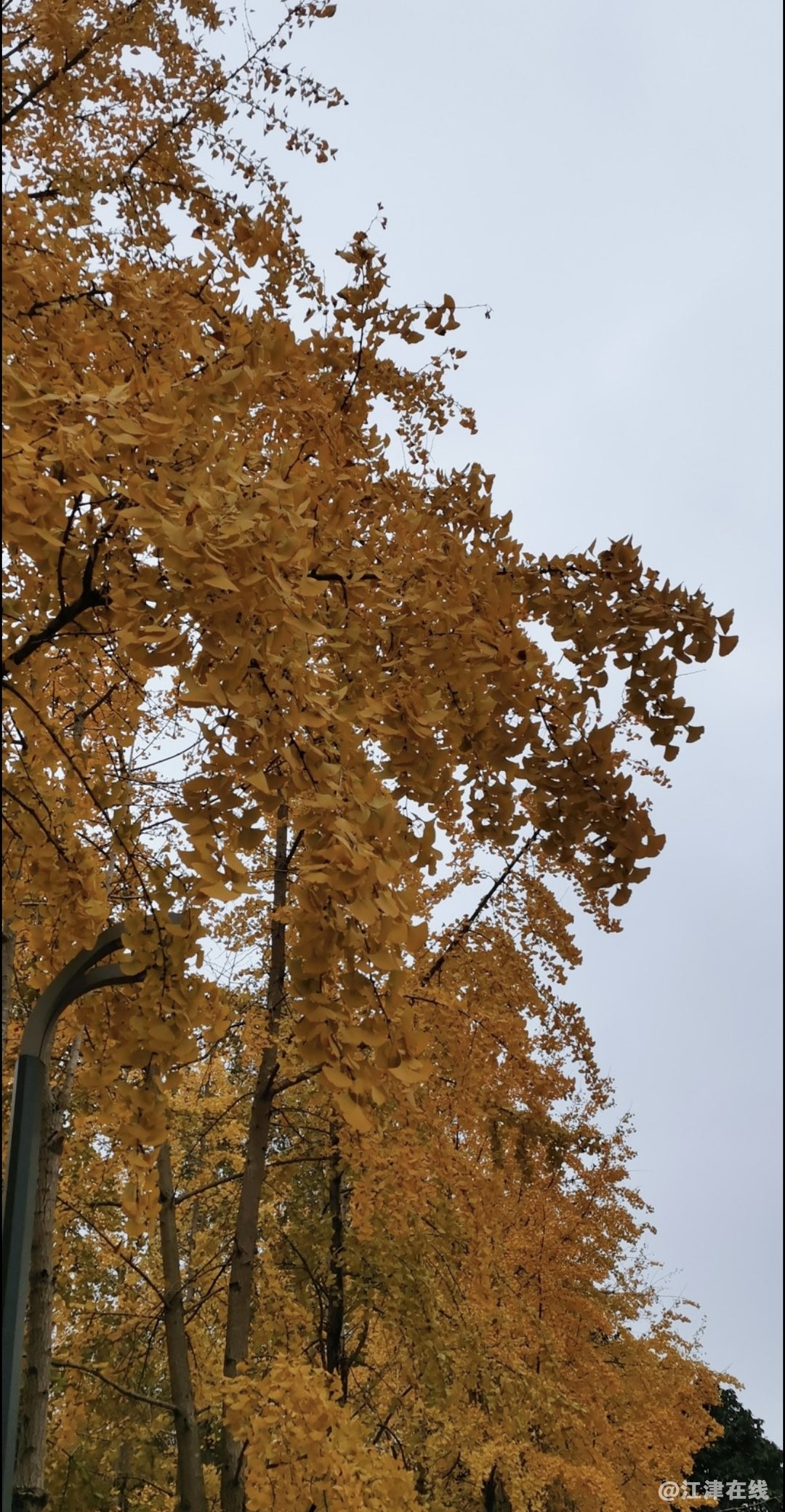 20221210230602front1_0_281628_FthvzaVNiRLZjbvevtDHujp_F-Pn.jpg