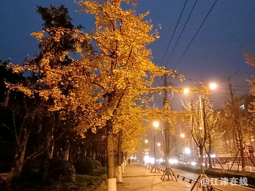 20221212113318front2_0_272275_FkqVfcIwODF2-PAmbJnCow2KYOov.jpg