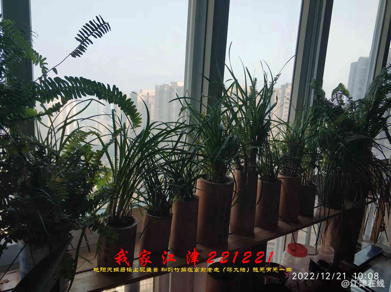 JYZ 20221221 WBQ (12).jpg