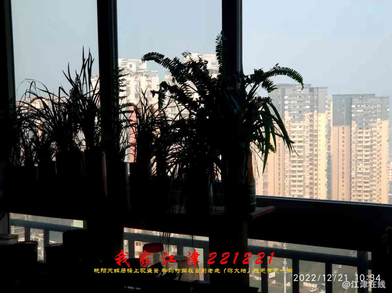 JYZ 20221221 WBQ (19).jpg