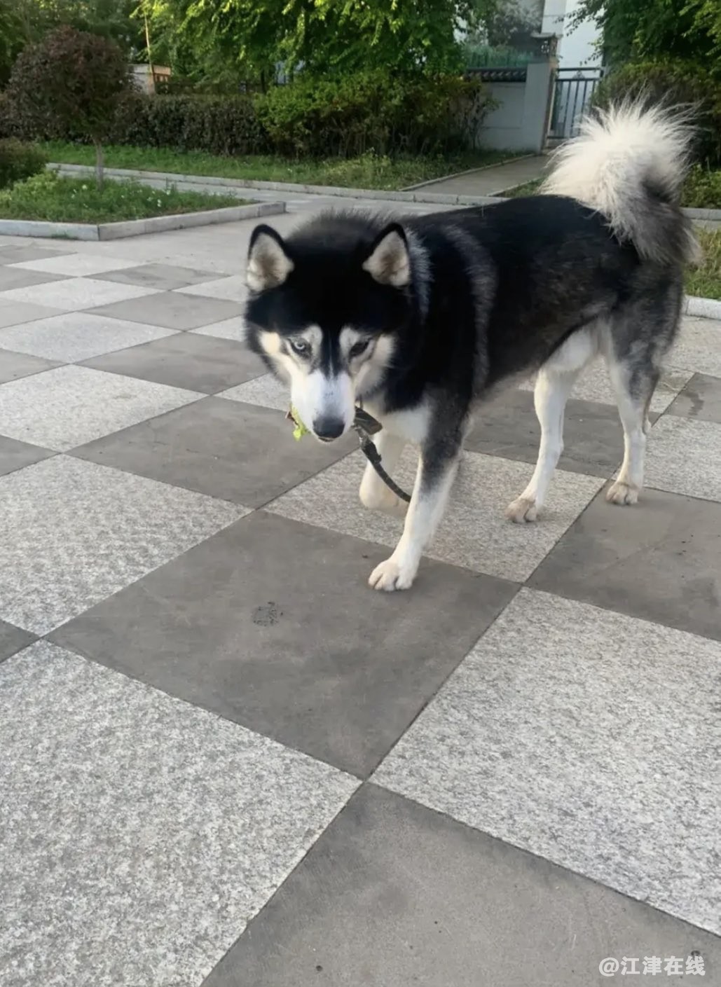 20221224142848front1_0_281628_Fvi3LTAhra7NbOVyeHtxX3HxZTpR.jpg