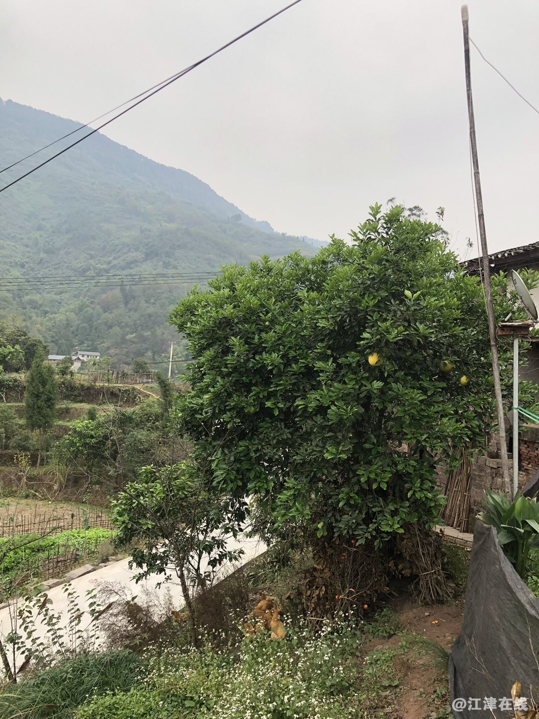 20221225160651front1_0_365019_FrPLh96bl64IjyH-gZ4s0gZ4hcVs.jpg