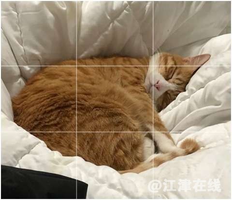 20230108111020front2_0_427165_FgaffhaCpDS29RDF4zYdyY7499sO.png
