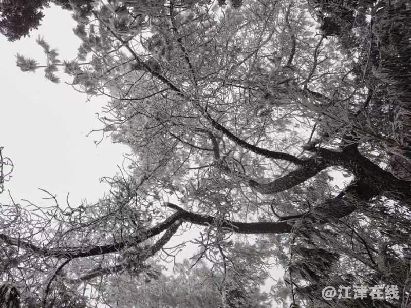 20230115141800front2_0_290001_Fsur75UYDsPh_WGwtMcmNV-C51mS.jpg
