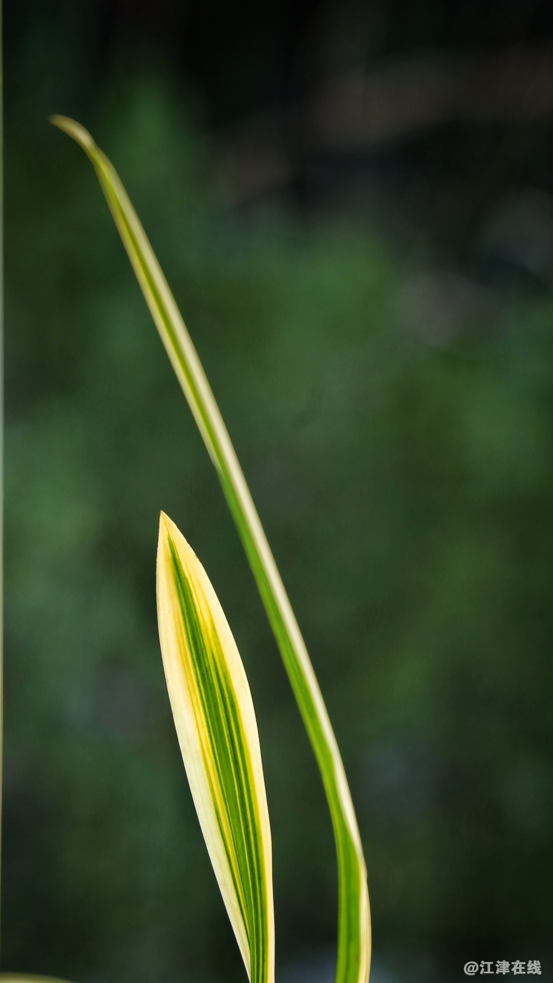 20230203201631front1_0_35589_Fr4LjtnPu7hsVQ2O1PUCdSpcBOh7.jpg