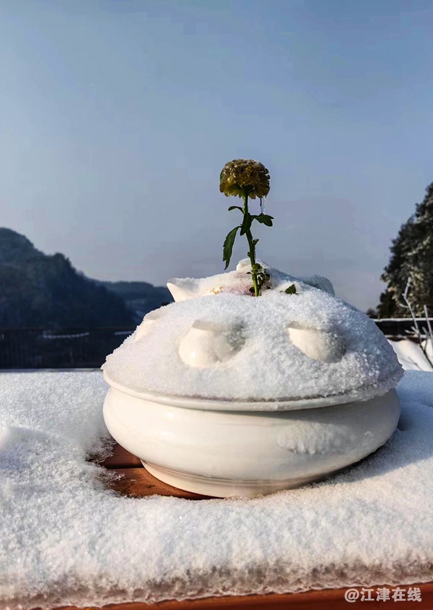 虎尾雪 (8).jpg